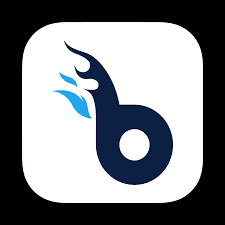 Buildfire logo which is a lower case b in navy with turquoise flames coming off the top of the b